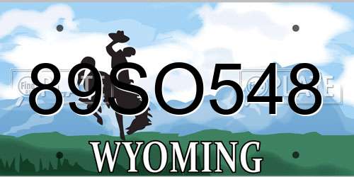 89SO548 Wyoming License Plate