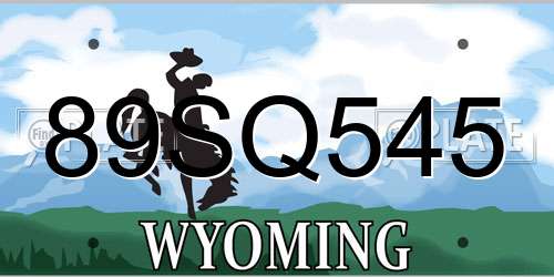 89SQ545 Wyoming License Plate