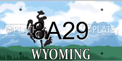 8A29 Wyoming License Plate