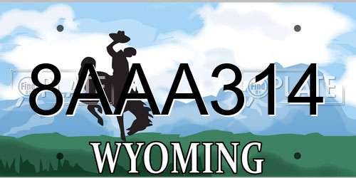 8AAA314 Wyoming License Plate