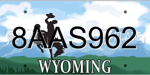 8AAS962 Wyoming License Plate