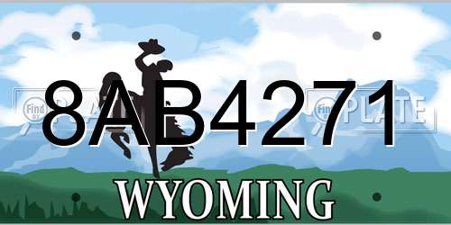 8AB4271 Wyoming License Plate