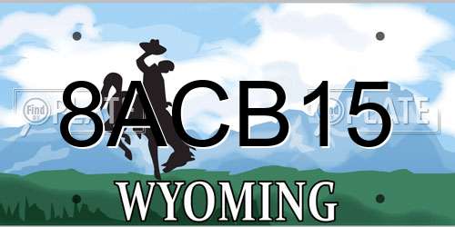 8ACB15 Wyoming License Plate