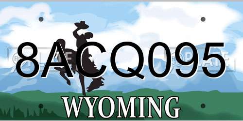 8ACQ095 Wyoming License Plate