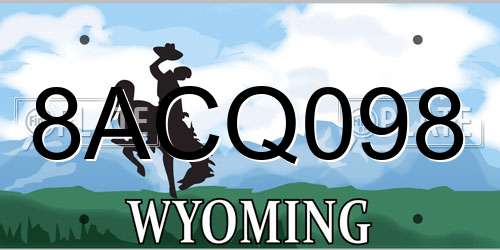 8ACQ098 Wyoming License Plate