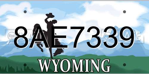 8AE7339 Wyoming License Plate