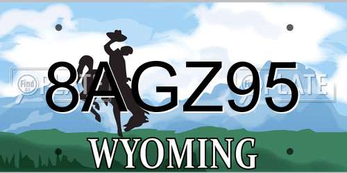 8AGZ95 Wyoming License Plate