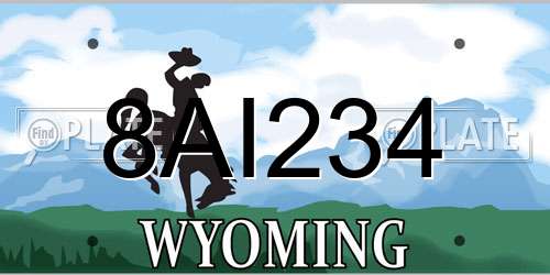 8AI234 Wyoming License Plate