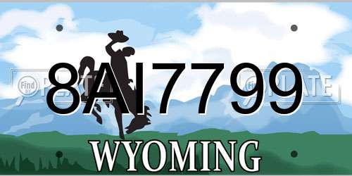 8AI7799 Wyoming License Plate