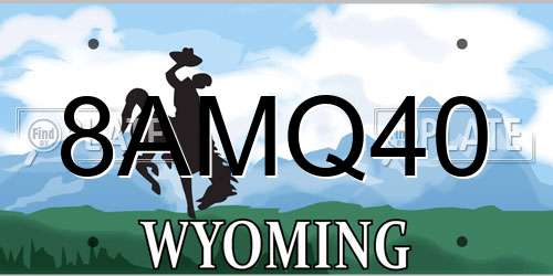 8AMQ40 Wyoming License Plate