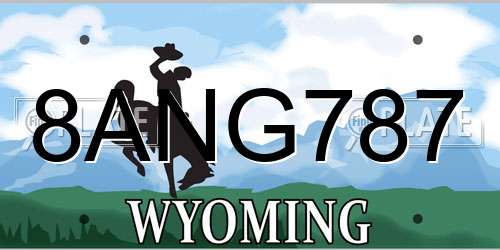 8ANG787 Wyoming License Plate
