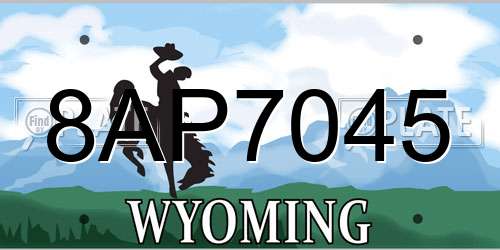 8AP7045 Wyoming License Plate