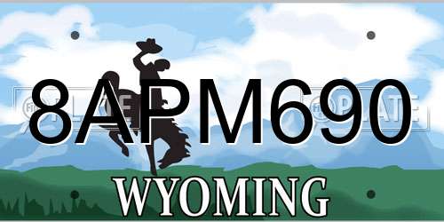 8APM690 Wyoming License Plate