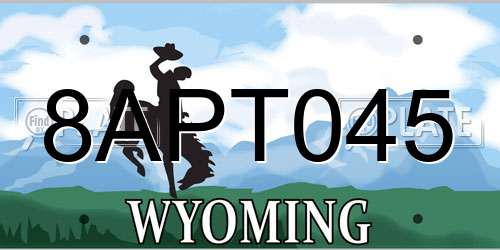 8APT045 Wyoming License Plate