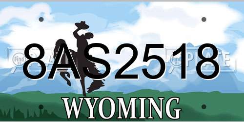 8AS2518 Wyoming License Plate