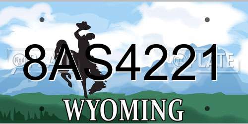 8AS4221 Wyoming License Plate