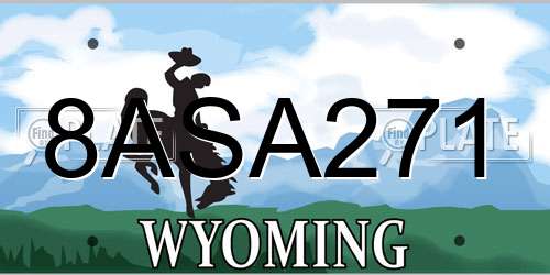 8ASA271 Wyoming License Plate