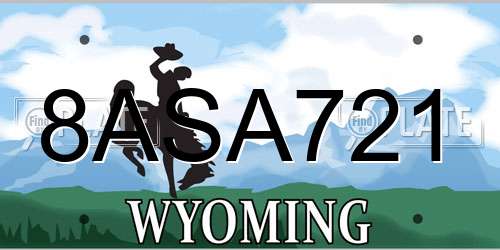8ASA721 Wyoming License Plate