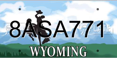 8ASA771 Wyoming License Plate