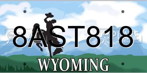 8AST818 Wyoming License Plate