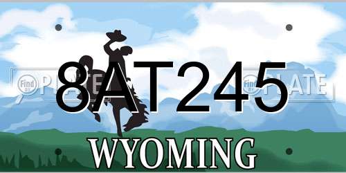 8AT245 Wyoming License Plate
