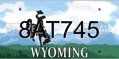 8AT745 Wyoming License Plate