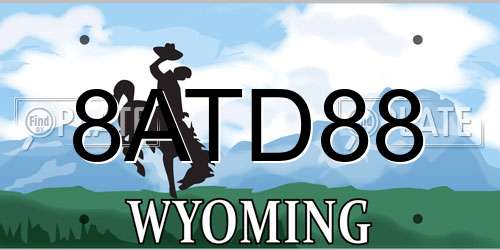 8ATD88 Wyoming License Plate