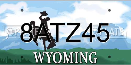 8ATZ45 Wyoming License Plate