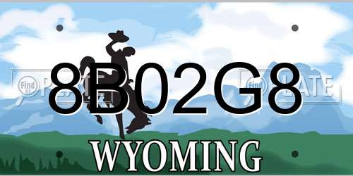 8B02G8 Wyoming License Plate