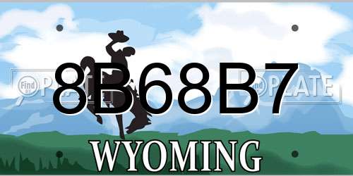 8B68B7 Wyoming License Plate