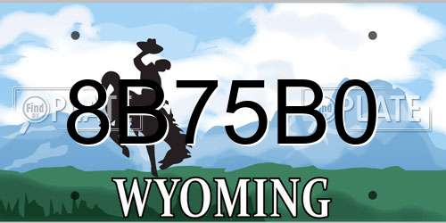 8B75B0 Wyoming License Plate