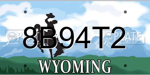 8B94T2 Wyoming License Plate
