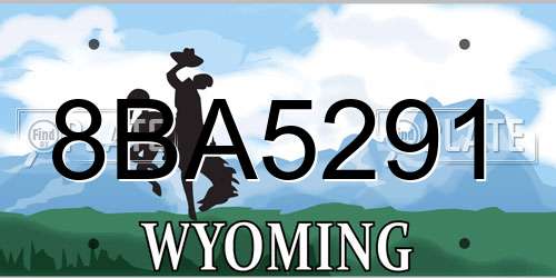 8BA5291 Wyoming License Plate