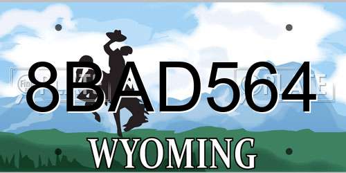 8BAD564 Wyoming License Plate