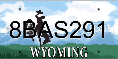 8BAS291 Wyoming License Plate