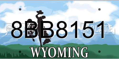 8BB8151 Wyoming License Plate