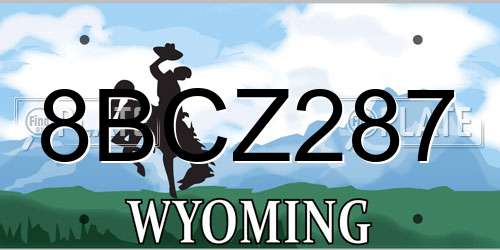 8BCZ287 Wyoming License Plate