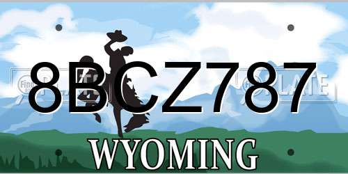 8BCZ787 Wyoming License Plate