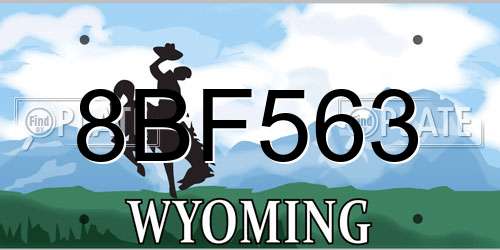 8BF563 Wyoming License Plate