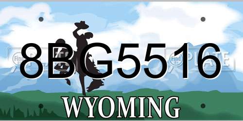 8BG5516 Wyoming License Plate