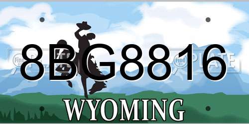 8BG8816 Wyoming License Plate