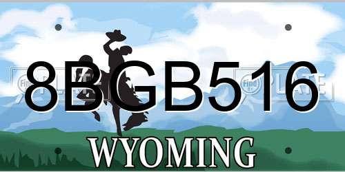 8BGB516 Wyoming License Plate
