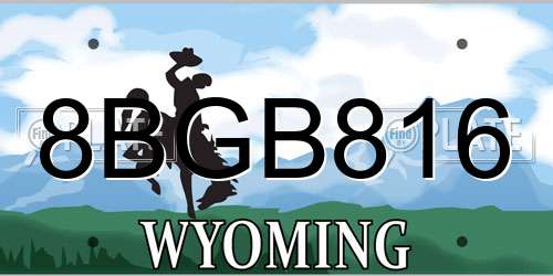 8BGB816 Wyoming License Plate