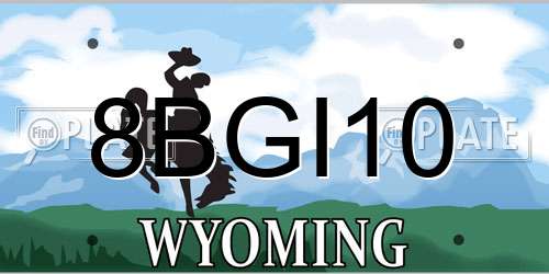 8BGI10 Wyoming License Plate