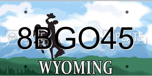 8BGO45 Wyoming License Plate