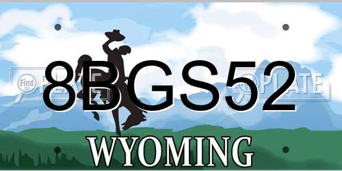8BGS52 Wyoming License Plate