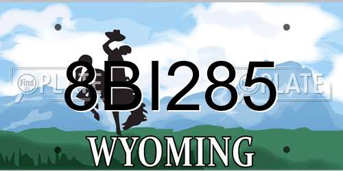 8BI285 Wyoming License Plate