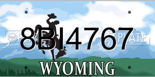 8BI4767 Wyoming License Plate
