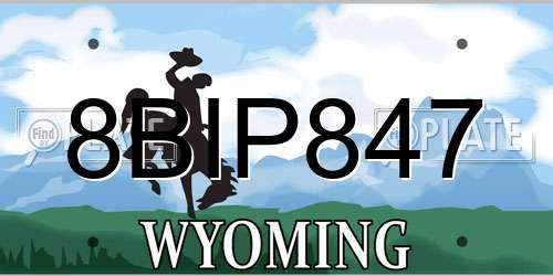 8BIP847 Wyoming License Plate