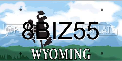 8BIZ55 Wyoming License Plate